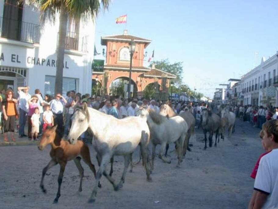 Casa La Rocina Almonte Villa Kültér fotó